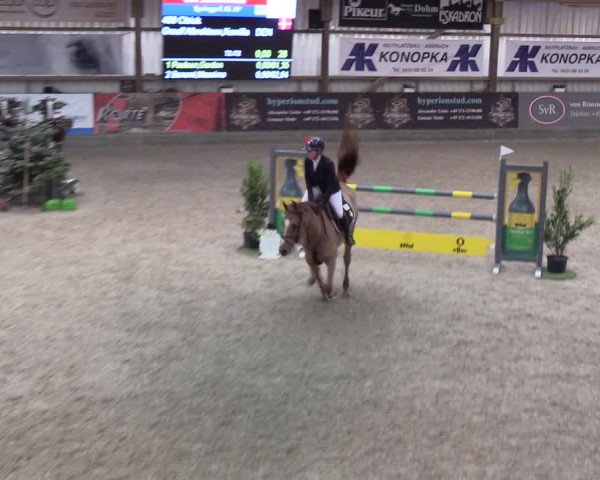 Reitturnier Negernbötel 2021, 9. Nordic Jumping event 2020/2021