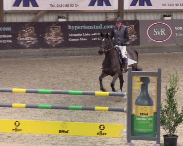 Reitturnier Negernbötel 2021, 9. Nordic Jumping event 2020/2021