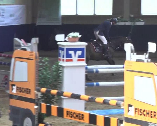 broodmare Chica S (Oldenburg show jumper, 2008, from Champion For Pleasure)