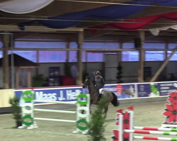 Reitturnier Negernbötel 2021, 9. Nordic Jumping event 2020/2021