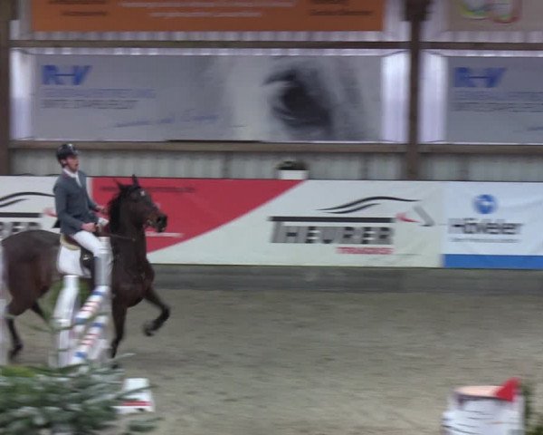 Reitturnier Negernbötel 2021, 9. Nordic Jumping event 2020/2021