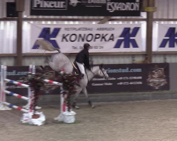 Reitturnier Negernbötel 2021, 9. Nordic Jumping event 2020/2021