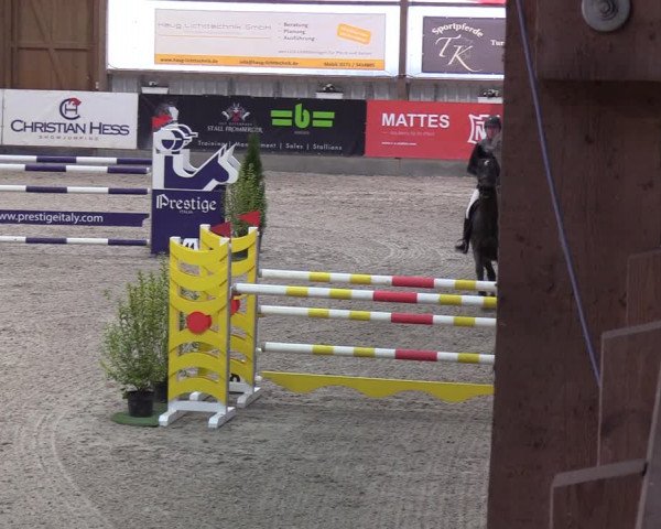 Reitturnier Negernbötel 2021, 9. Nordic Jumping event 2020/2021