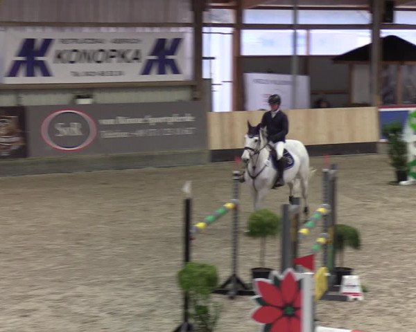 Equestrian Show Negernbötel 2021