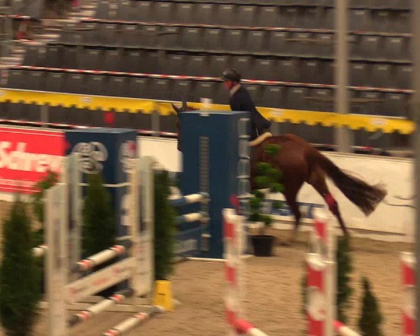 Reitturnier Verden Montagsclub 2021