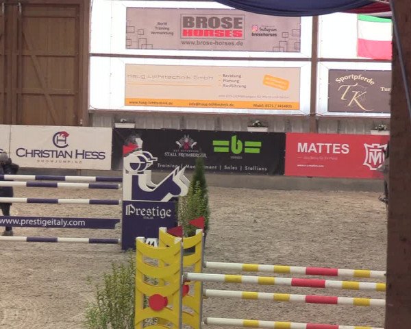 Reitturnier Negernbötel 2021, 9. Nordic Jumping event 2020/2021
