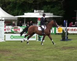 jumper Zirikit (KWPN (Royal Dutch Sporthorse), 2004, from Berlin)