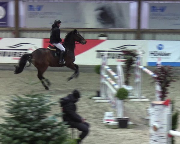 Reitturnier Negernbötel 2021, 9. Nordic Jumping event 2020/2021
