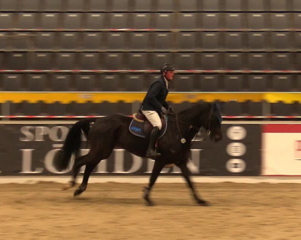 Reitturnier Verden Montagsclub 2021