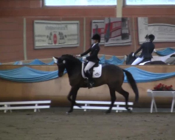 dressage horse Bugs Bunny van de Postbaan (KWPN (Royal Dutch Sporthorse), 2006, from Flemmingh)