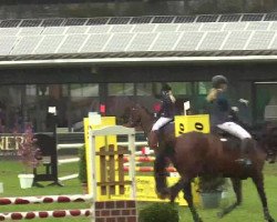 jumper Zalsa Hs (unknown,  )