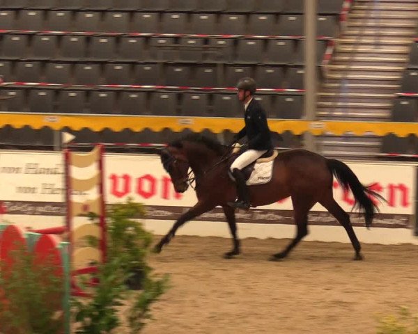 Reitturnier Verden Montagsclub 2021