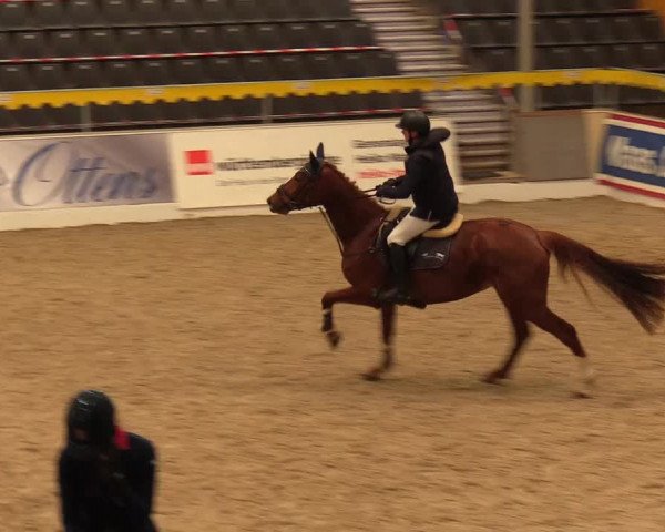 Reitturnier Verden Montagsclub 2021