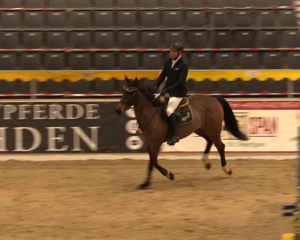 Reitturnier Verden Montagsclub 2021