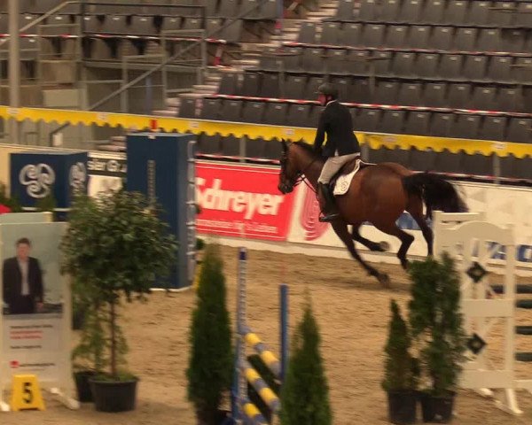 Reitturnier Verden Montagsclub 2021