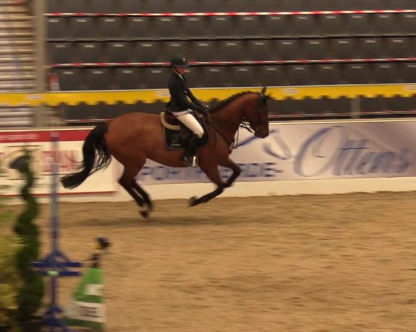 Reitturnier Verden Montagsclub 2021