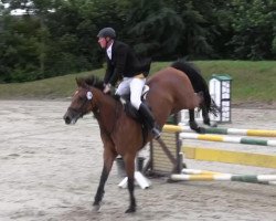 Springpferd Corrida 18 (Westfale, 2006, von Cayetano L)