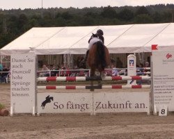 Springpferd Cascadeur 90 (Westfale, 2007, von Contello)