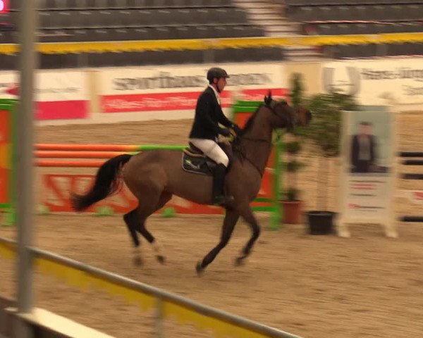 Reitturnier Verden Montagsclub 2021