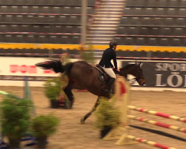 Reitturnier Verden Montagsclub 2021