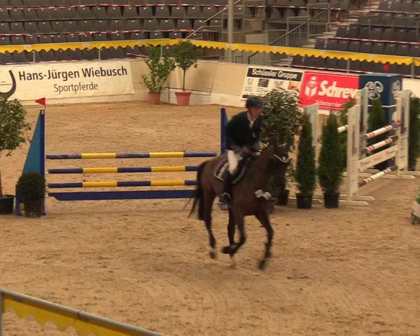 Reitturnier Verden Montagsclub 2021