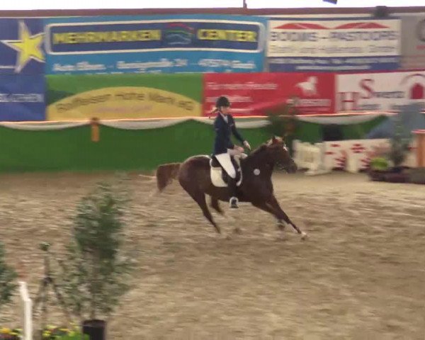 broodmare Paulina SG (German Riding Pony, 2007, from Pilatus)