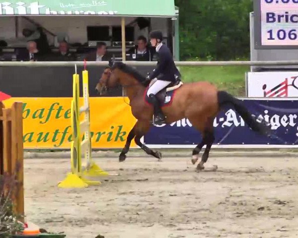 jumper Invictus (Belgium Sporthorse, 2006, from Nabab de Rêve)