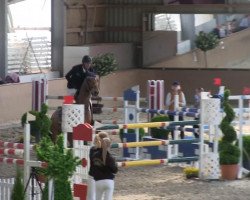 jumper Premier du Grand Pre (Selle Français, 2003, from Quidam de Revel)