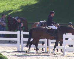 jumper For Top (Hanoverian, 2008, from For Edition)