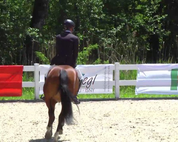 jumper Rasculin (Oldenburg, 2007, from Rio Zeus)