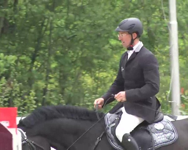 Springpferd Callini B.S. (Holsteiner, 2007, von Caretello B)