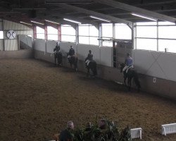 dressage horse Mistral 190 (German Riding Pony, 2007)