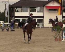 jumper Charlotte (Oldenburg show jumper, 2007, from Centadel)