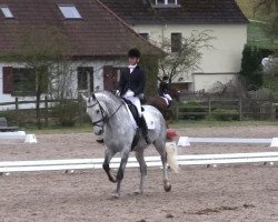 dressage horse con bravura (Holsteiner, 2007, from Carlos DZ)