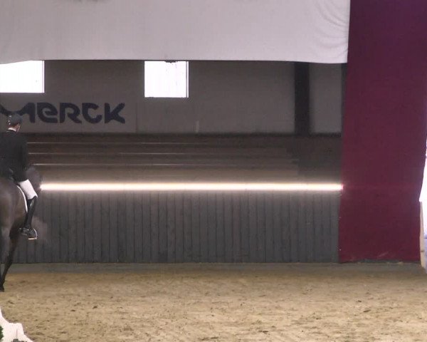 Reitturnier Darmstadt-Kranichstein 2021