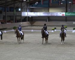 dressage horse Arabis D (German Riding Pony, 2007, from Amarillys Sensation D)