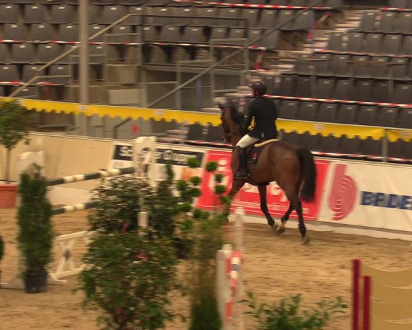 Reitturnier Verden Montagsclub 2021