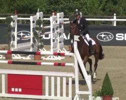 jumper Dana van de Veldbalie (Belgian Warmblood, 2003, from Orlando van de Heffinck)