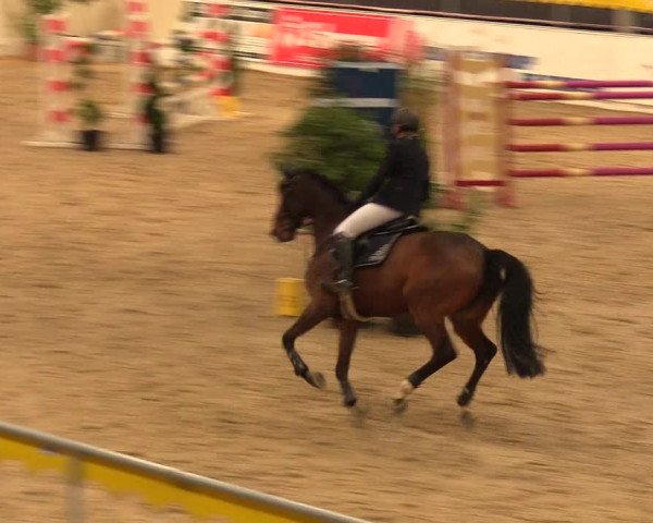 Reitturnier Verden Montagsclub 2021