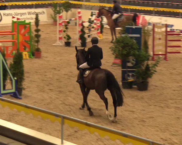 Reitturnier Verden Montagsclub 2021