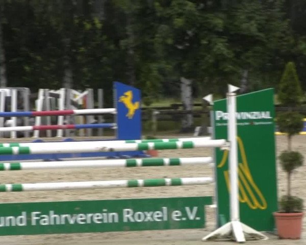 jumper Ferno van de Hermitage (Belgian Warmblood, 2005, from Cento)
