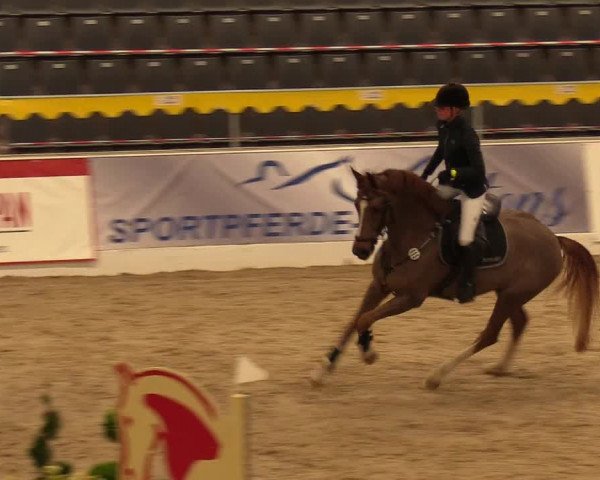 Reitturnier Verden Montagsclub 2021