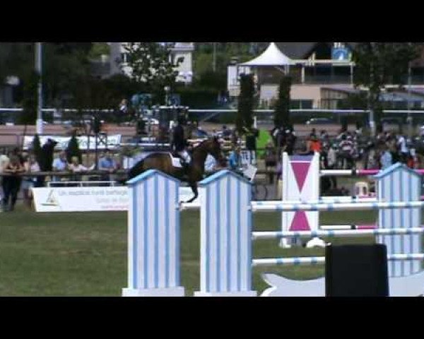 jumper Prunella D'Ariel (Selle Français, 2003, from Diamant de Semilly)