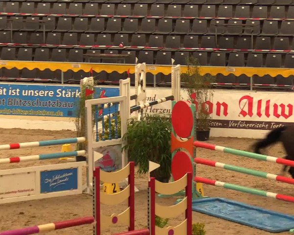 Reitturnier Verden Montagsclub 2021