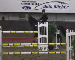 jumper Carrie 17 (Slovenian Warmblood, 2005)