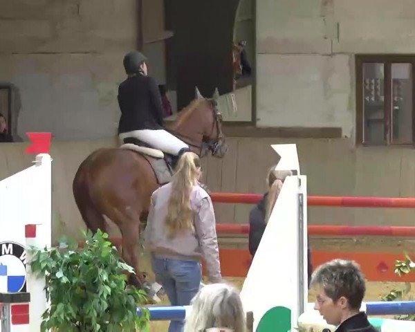 dressage horse Kasper's Tequilla Sunrise (Polish Warmblood, 2001, from Vittorio)