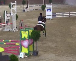 jumper Spetter (KWPN (Royal Dutch Sporthorse), 2000)