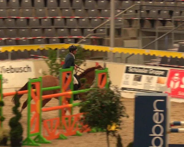 Reitturnier Verden Montagsclub 2021