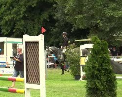 jumper Zeewolf S (KWPN (Royal Dutch Sporthorse), 2004, from Colman)