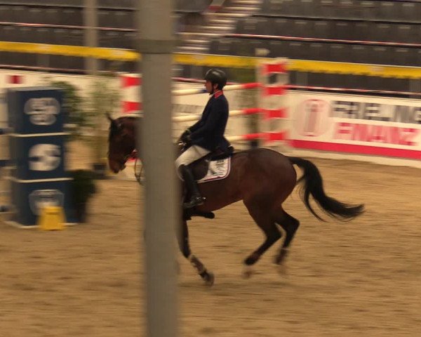 Reitturnier Verden Montagsclub 2021
